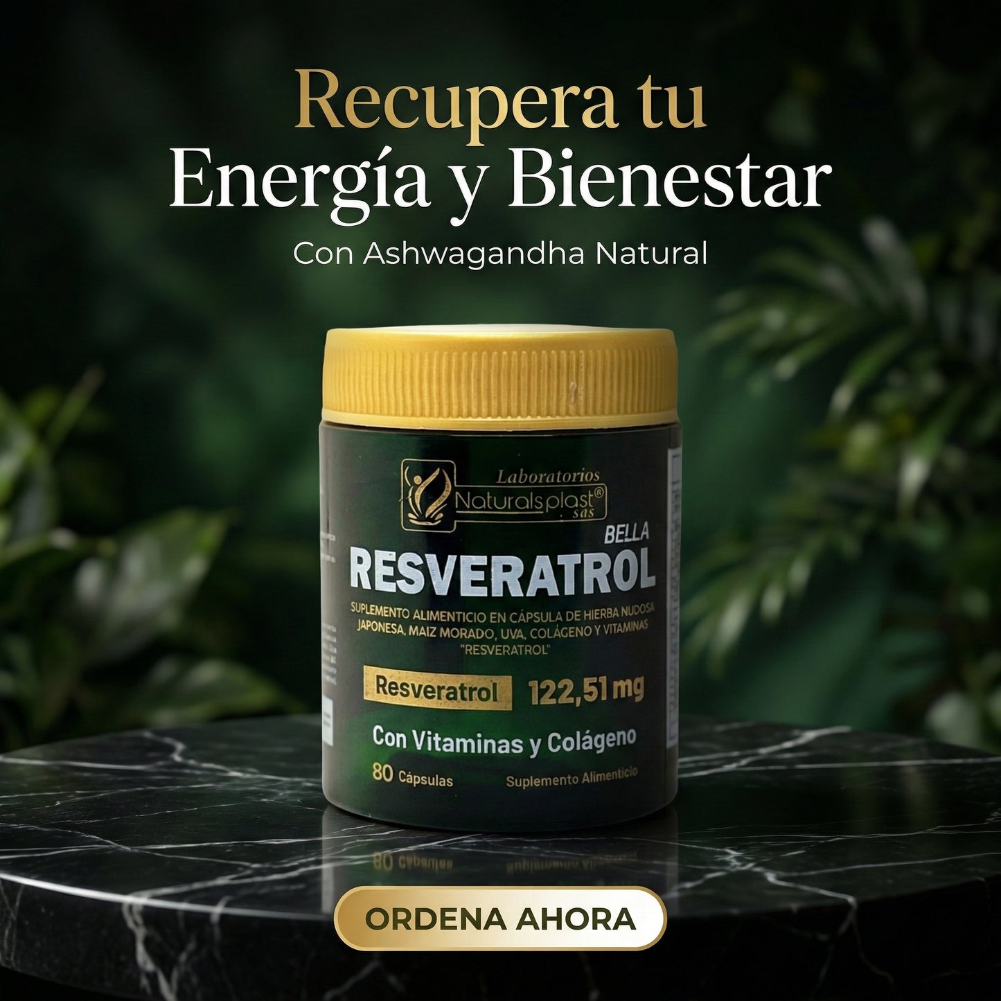 RESVERATROL BELLA / 80 CAPSULAS